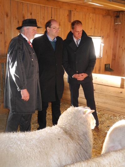 Günter Lindeburg, Minister Meyer und Landtagsabgeordneter Wiard Siebelds begutachten die Ostfries. Milchschafe